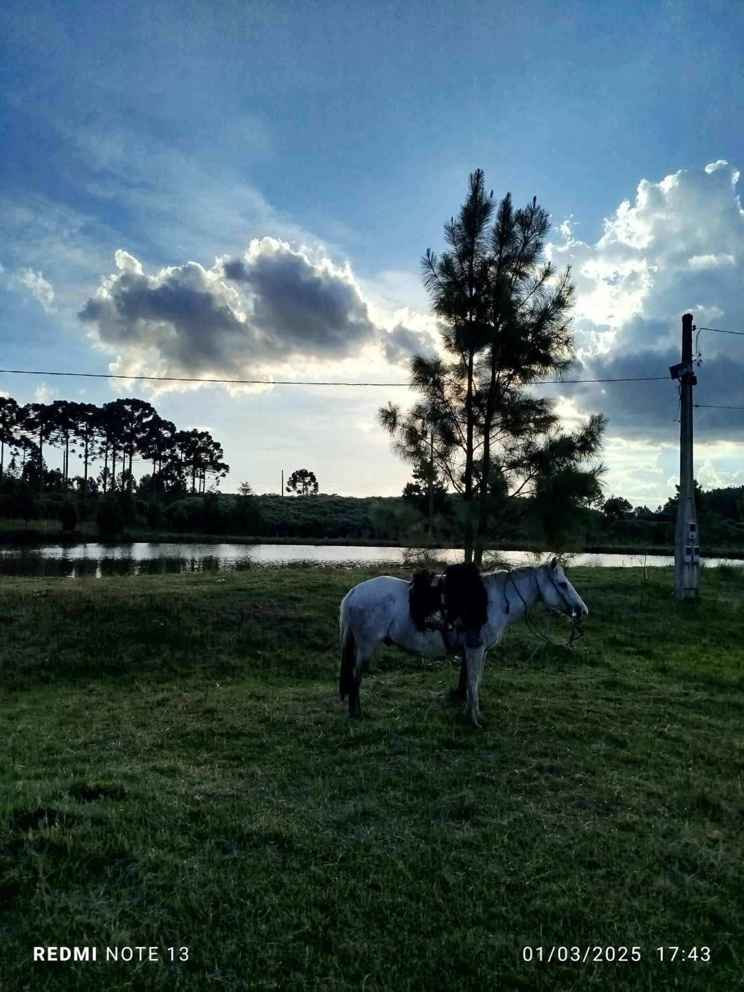 Encanto Das Araucarias Cambará Eksteriør billede