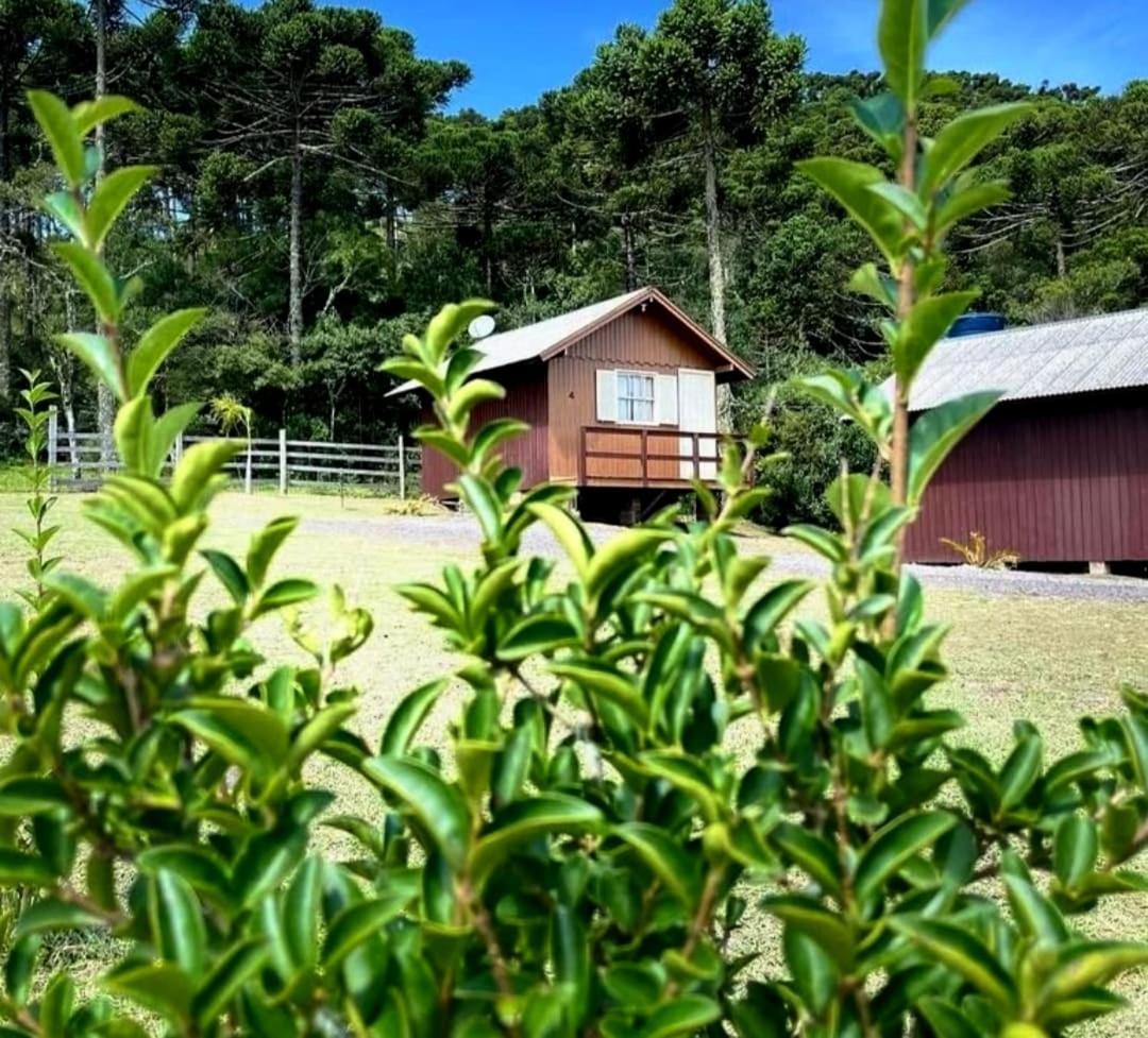 Encanto Das Araucarias Cambará Eksteriør billede